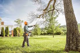 Best Tree Health Inspection  in Watervliet, NY